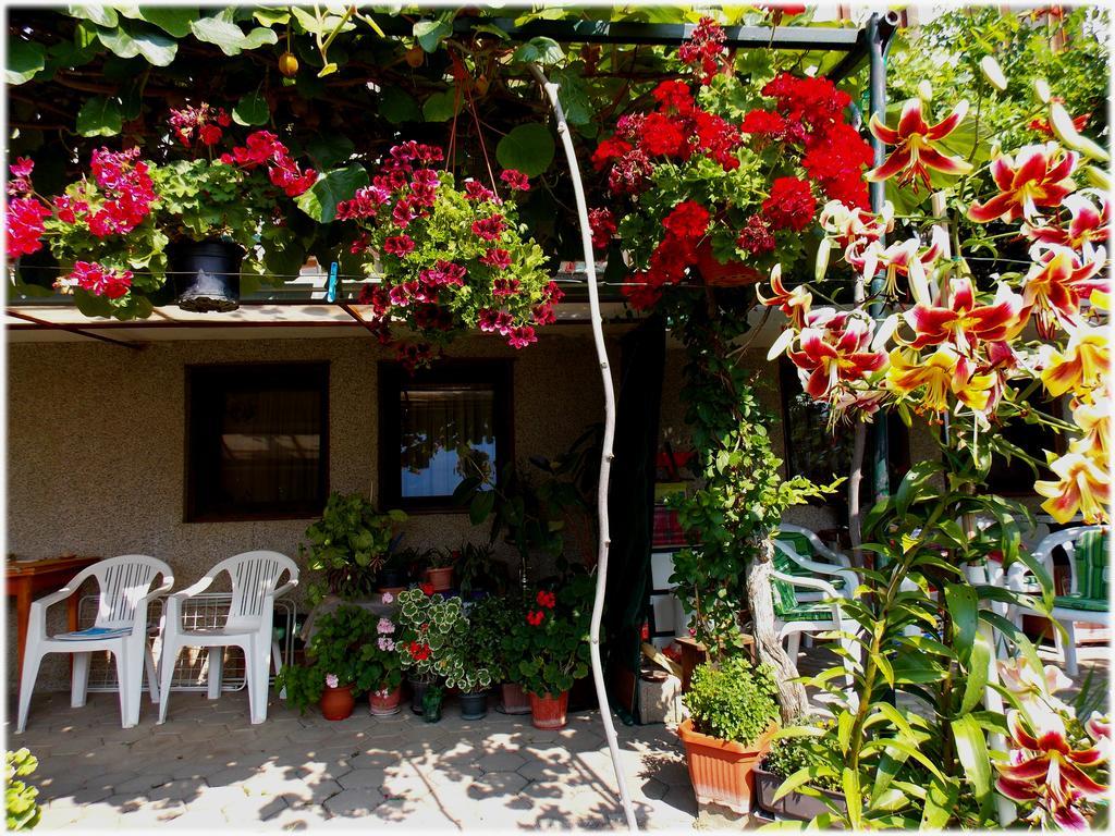 Zura Apartments Ohrid Exterior photo